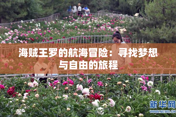 海贼王罗的航海冒险：寻找梦想与自由的旅程