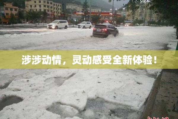 涉涉动情，灵动感受全新体验！