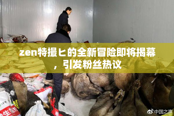 zen特撮ヒ的全新冒险即将揭幕，引发粉丝热议