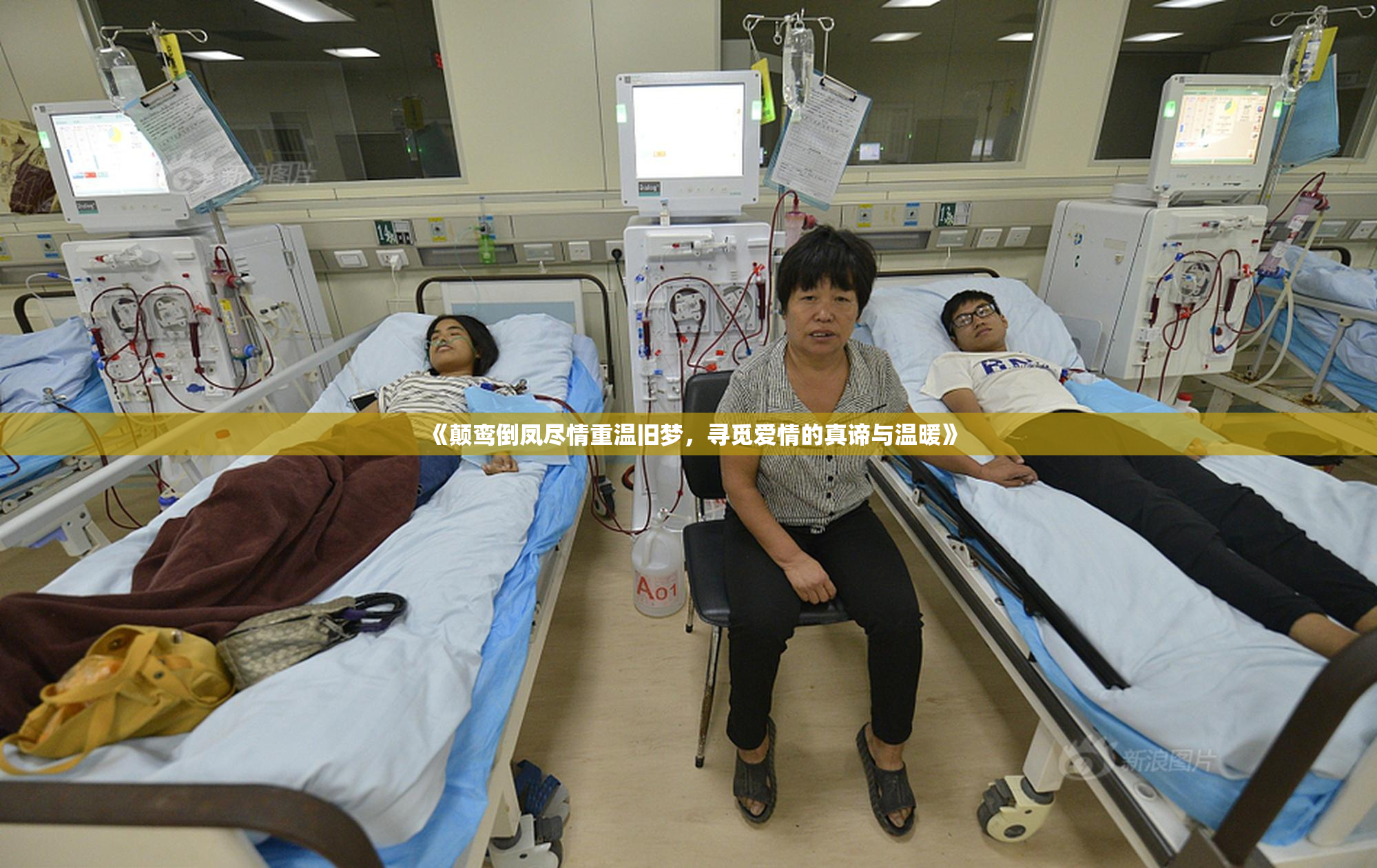 《颠鸾倒凤尽情重温旧梦，寻觅爱情的真谛与温暖》