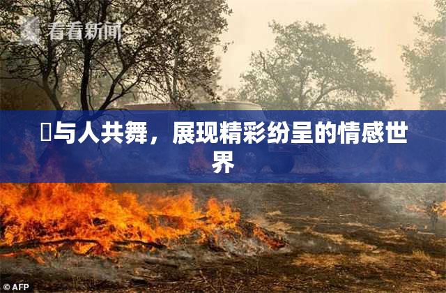 嘼与人共舞，展现精彩纷呈的情感世界