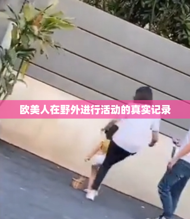 欧美人在野外进行活动的真实记录