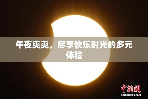 午夜爽爽，尽享快乐时光的多元体验