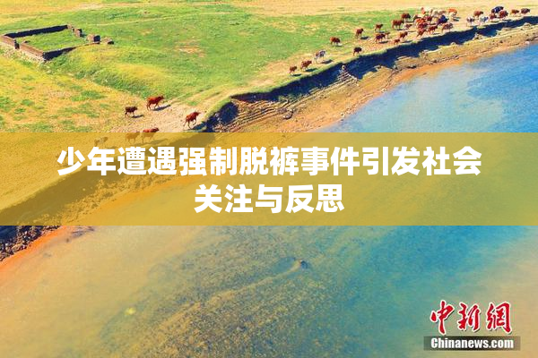 少年遭遇强制脱裤事件引发社会关注与反思
