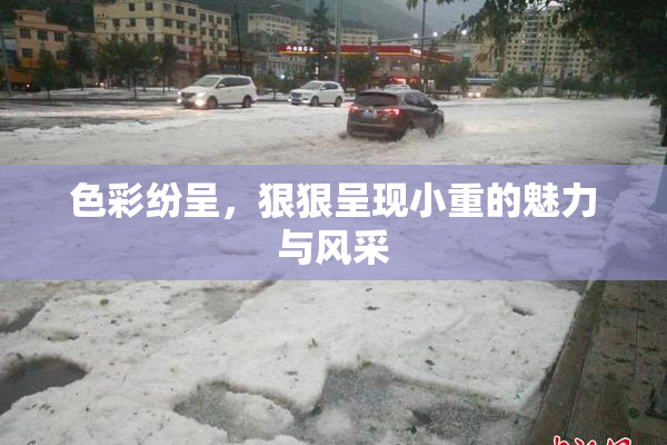 色彩纷呈，狠狠呈现小重的魅力与风采