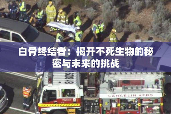白骨终结者：揭开不死生物的秘密与未来的挑战