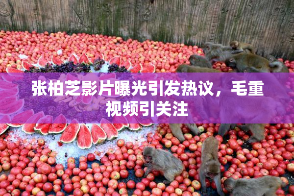 张柏芝影片曝光引发热议，毛重视频引关注