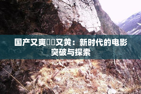 国产又爽❌‌又黄：新时代的电影突破与探索