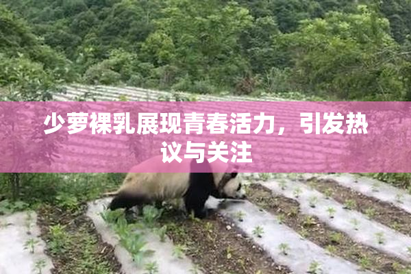 少萝裸乳展现青春活力，引发热议与关注