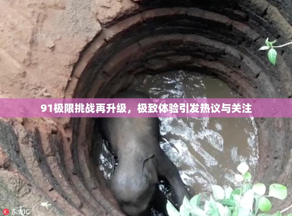 91极限挑战再升级，极致体验引发热议与关注
