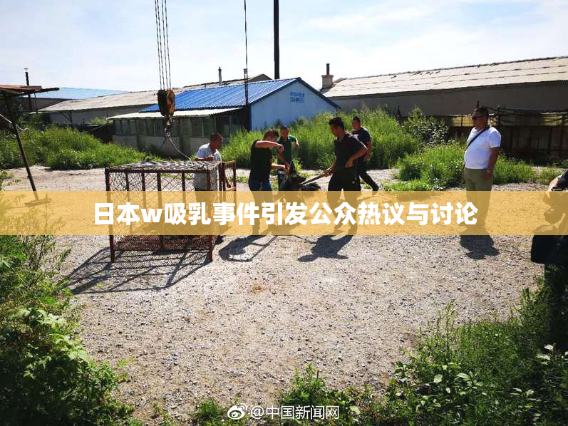 日本w吸乳事件引发公众热议与讨论
