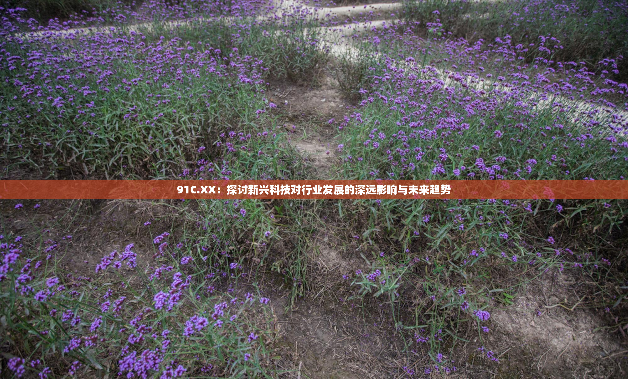 91C.XX：探讨新兴科技对行业发展的深远影响与未来趋势