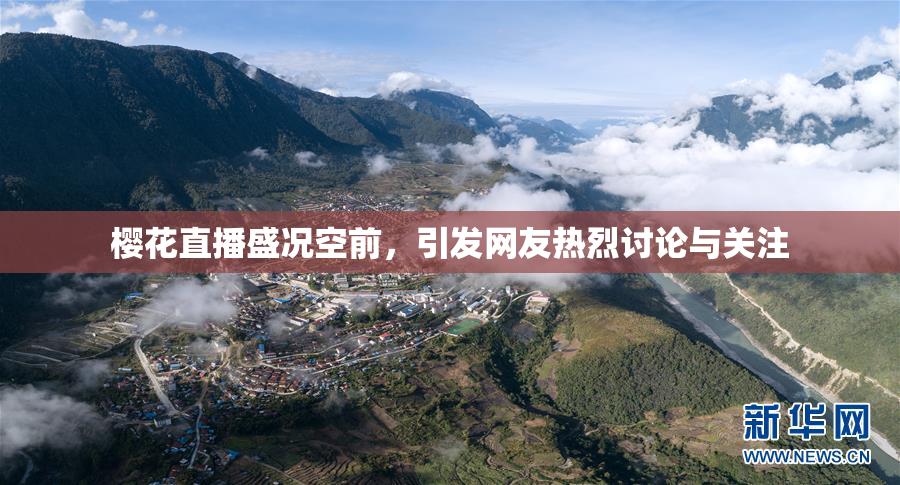 樱花直播盛况空前，引发网友热烈讨论与关注