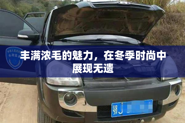 丰满浓毛的魅力，在冬季时尚中展现无遗