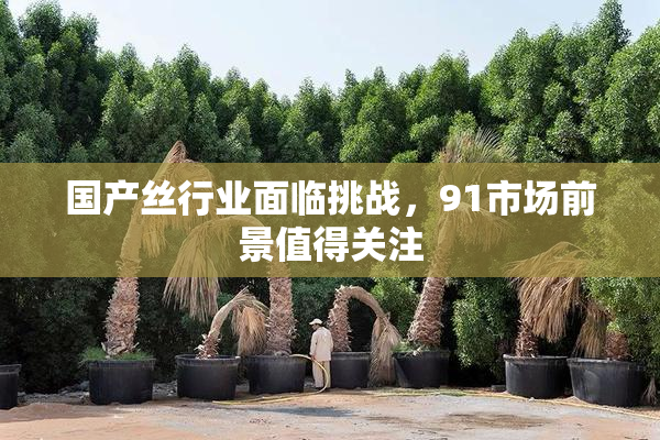 国产丝行业面临挑战，91市场前景值得关注