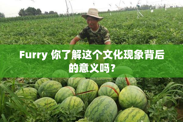 Furry 你了解这个文化现象背后的意义吗？