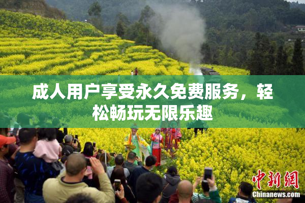 成人用户享受永久免费服务，轻松畅玩无限乐趣