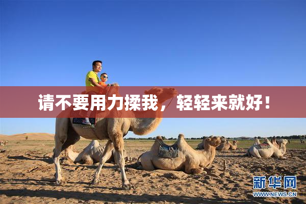 请不要用力揉我，轻轻来就好！