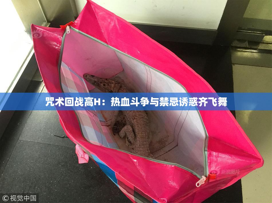 咒术回战高H：热血斗争与禁忌诱惑齐飞舞