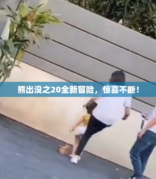 熊出没之20全新冒险，惊喜不断！