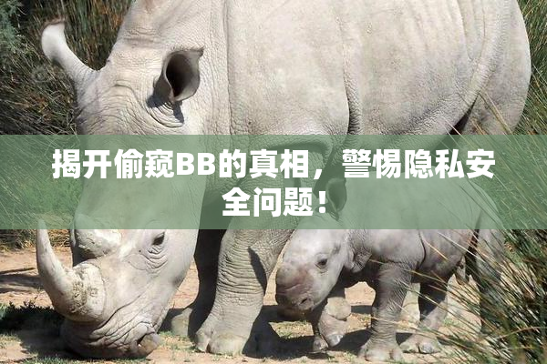 揭开偷窥BB的真相，警惕隐私安全问题！