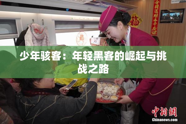 少年骇客：年轻黑客的崛起与挑战之路