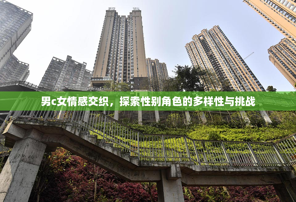 男c女情感交织，探索性别角色的多样性与挑战
