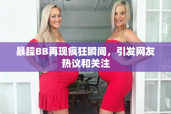暴躁BB再现疯狂瞬间，引发网友热议和关注