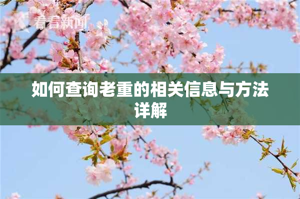 如何查询老重的相关信息与方法详解