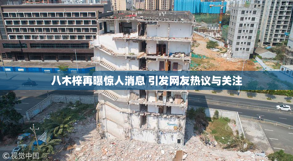 八木梓再曝惊人消息 引发网友热议与关注