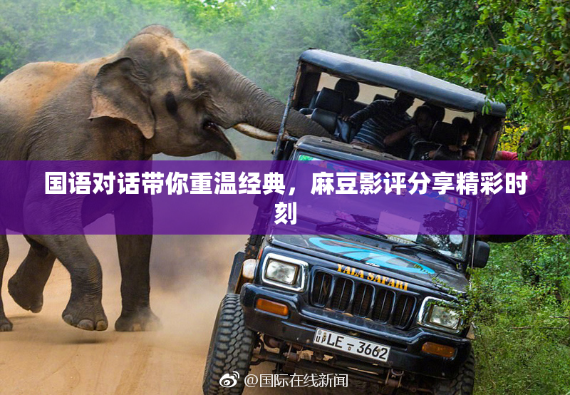 国语对话带你重温经典，麻豆影评分享精彩时刻