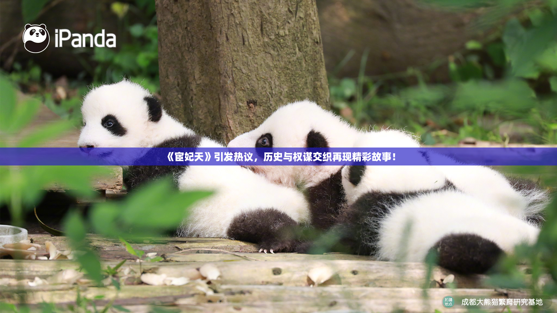 《宦妃天》引发热议，历史与权谋交织再现精彩故事！