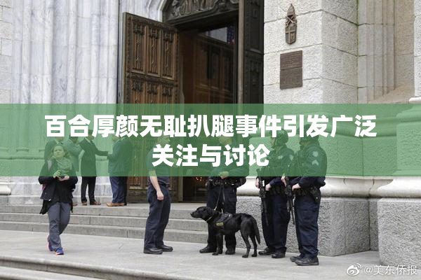 百合厚颜无耻扒腿事件引发广泛关注与讨论