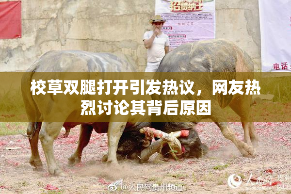 校草双腿打开引发热议，网友热烈讨论其背后原因