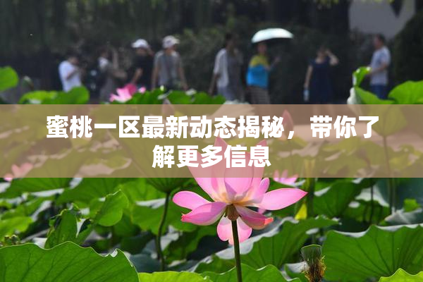 蜜桃一区最新动态揭秘，带你了解更多信息