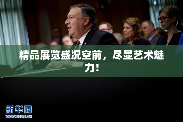 精品展览盛况空前，尽显艺术魅力！
