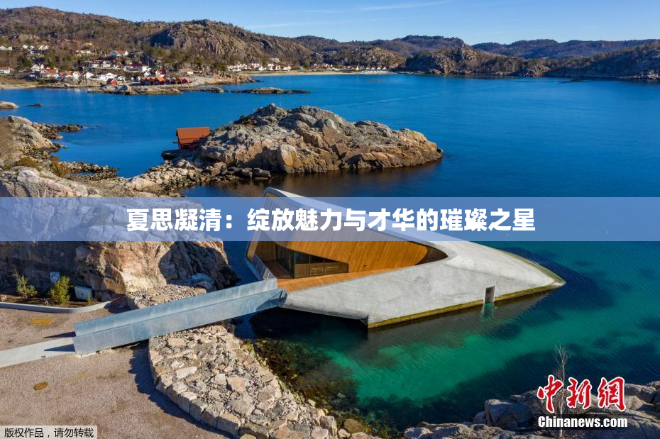 夏思凝清：绽放魅力与才华的璀璨之星