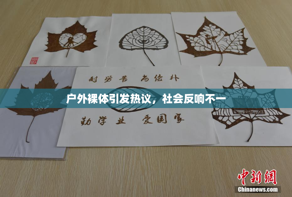 户外裸体引发热议，社会反响不一