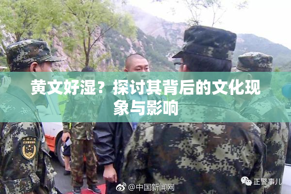 黄文好湿？探讨其背后的文化现象与影响