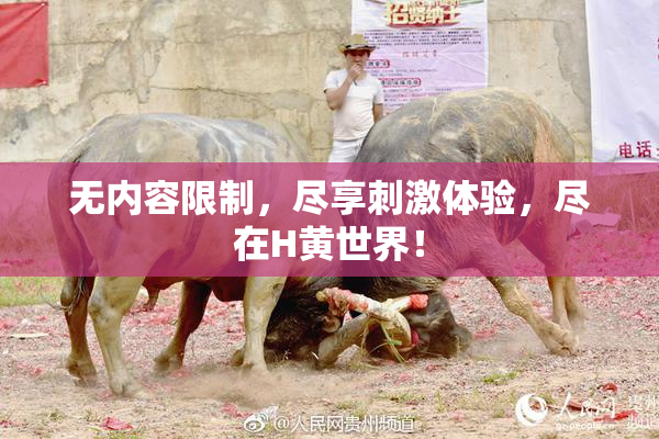 无内容限制，尽享刺激体验，尽在H黄世界！