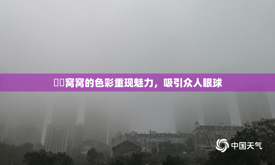 妺妺窝窝的色彩重现魅力，吸引众人眼球