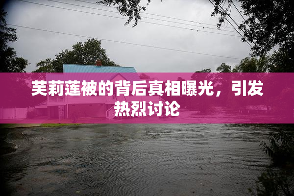 芙莉莲被的背后真相曝光，引发热烈讨论