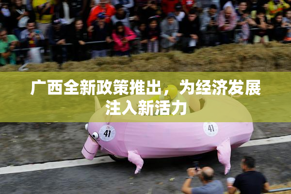 广西全新政策推出，为经济发展注入新活力