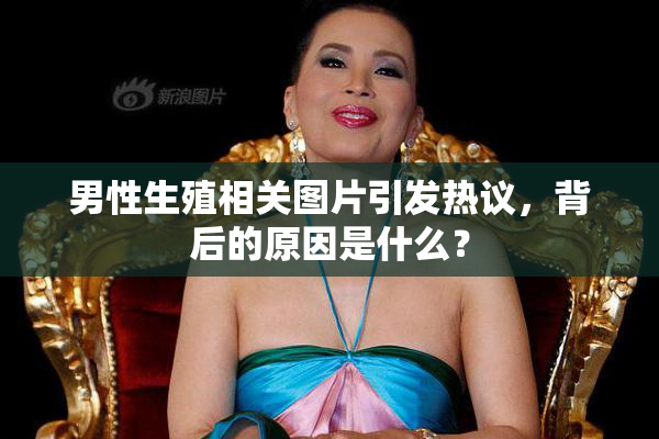 男性生殖相关图片引发热议，背后的原因是什么？