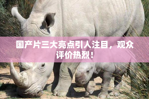 国产片三大亮点引人注目，观众评价热烈！