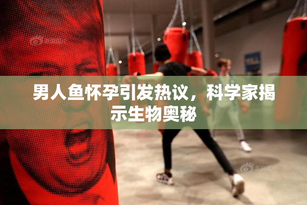 男人鱼怀孕引发热议，科学家揭示生物奥秘