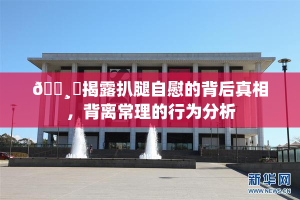 🌸‌揭露扒腿自慰的背后真相，背离常理的行为分析