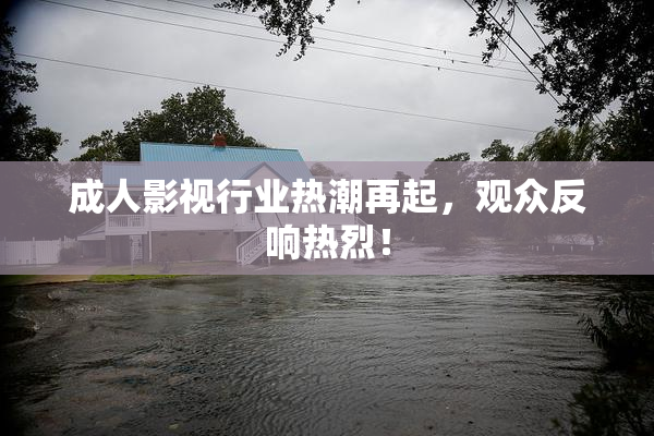 成人影视行业热潮再起，观众反响热烈！
