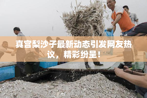 真宫梨沙子最新动态引发网友热议，精彩纷呈！