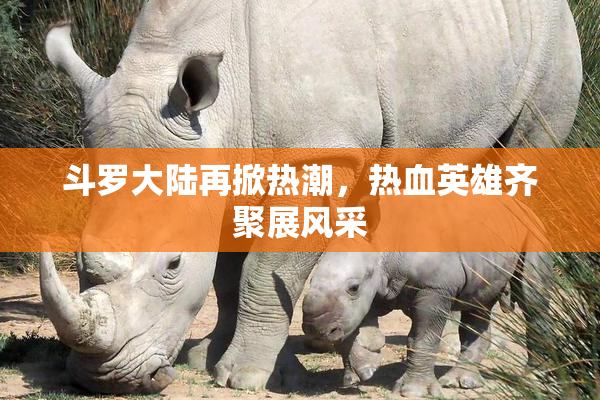 斗罗大陆再掀热潮，热血英雄齐聚展风采
